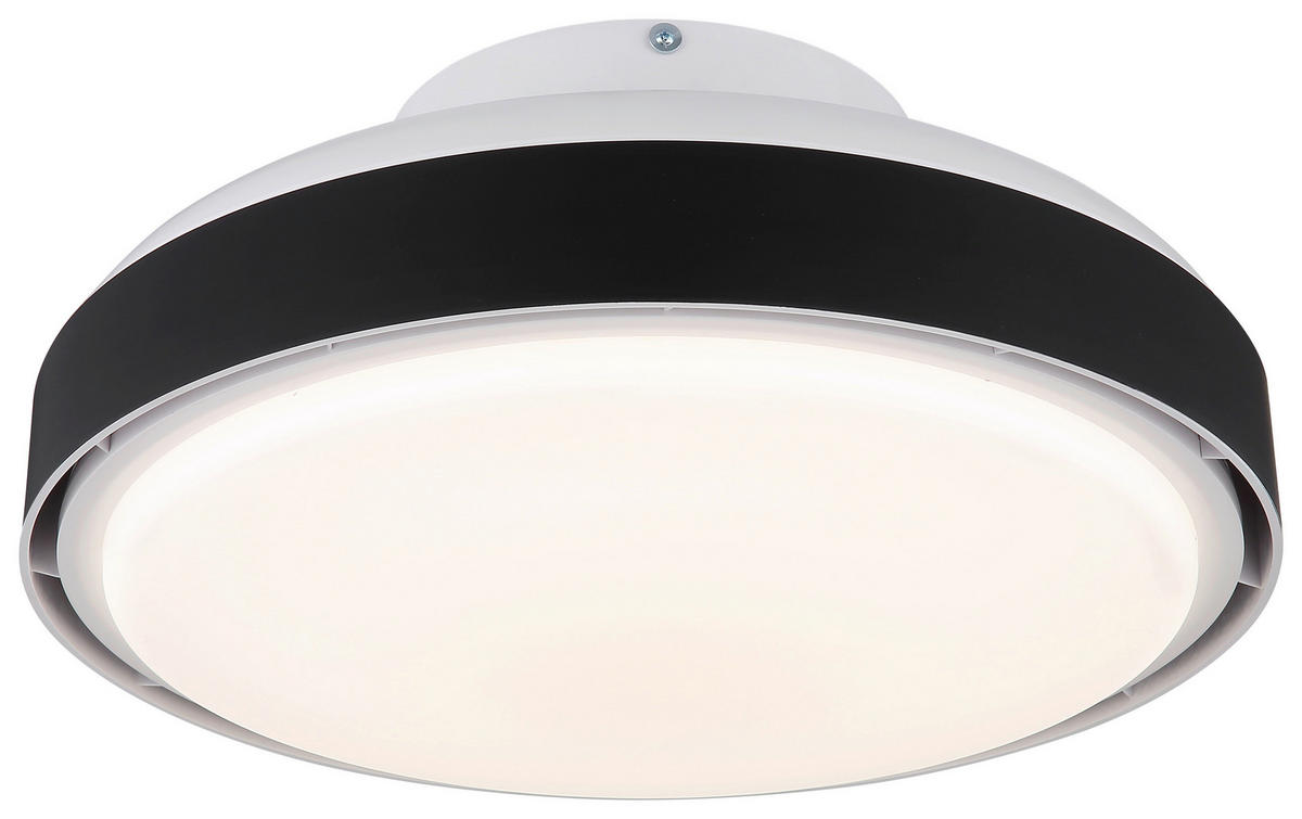 GLOBO LED-Deckenventilator mattschwarz weiß Opal Kunststoff Acryl H/D: ca. 20x45 cm 1 Brennstellen CARNEY - weiß/Opal (45,00/20,00cm) - GLOBO
