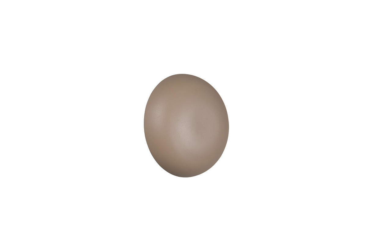 Reality LED Wandleuchte DAVEY beige Metall 1 Brennstellen Davey - beige - Reality
