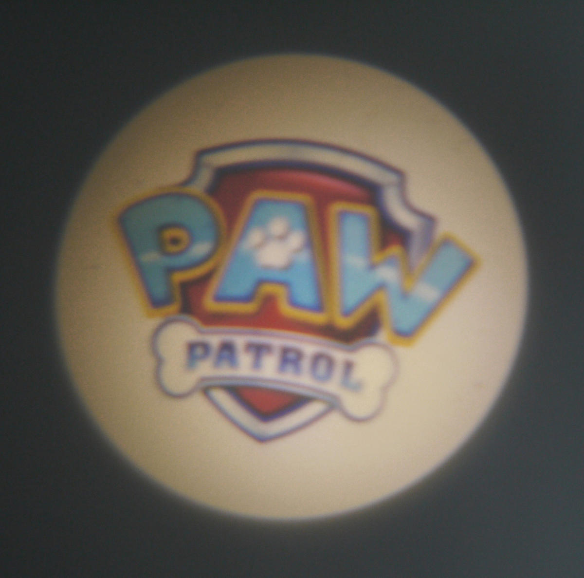 Niermann Taschen-Projektor Paw Patrol 6fach 80049 dunkelblau Kunststoff ▷  online bei POCO kaufen