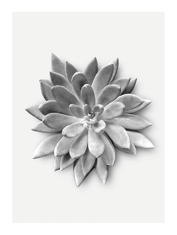 Komar Poster Succulent Agave Pflanzen B/L: ca. 30x40 cm günstig online kaufen