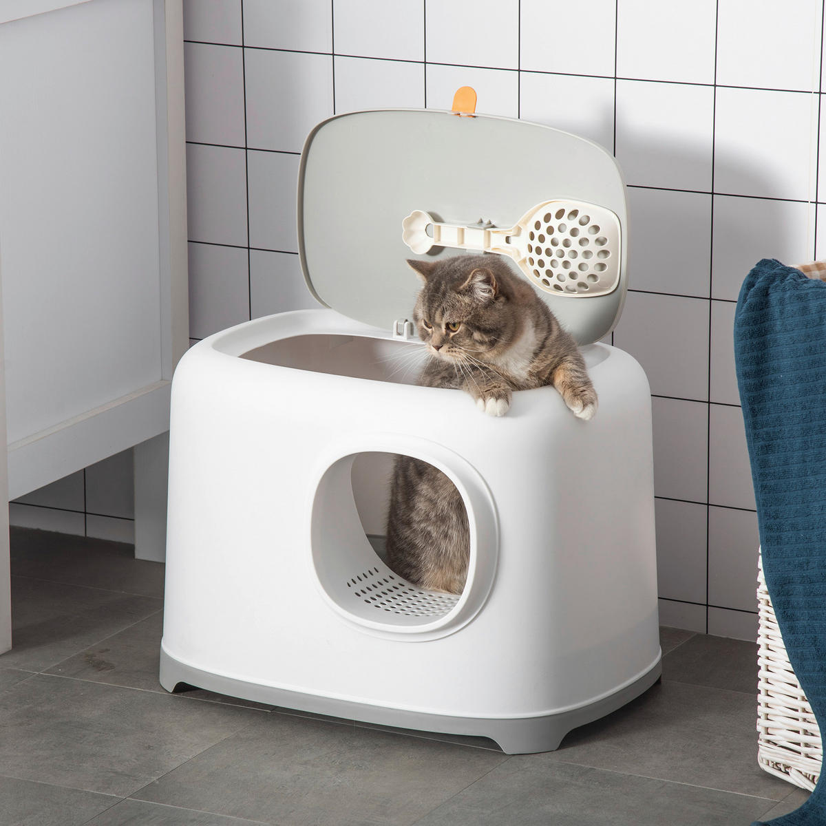 PawHut Katzentoilette hellgrau Kunststoff B/H/L: ca. 40x39x55 cm Katzentoilette - hellgrau/weiß (55,00/40,00/39,00cm) - PawHut