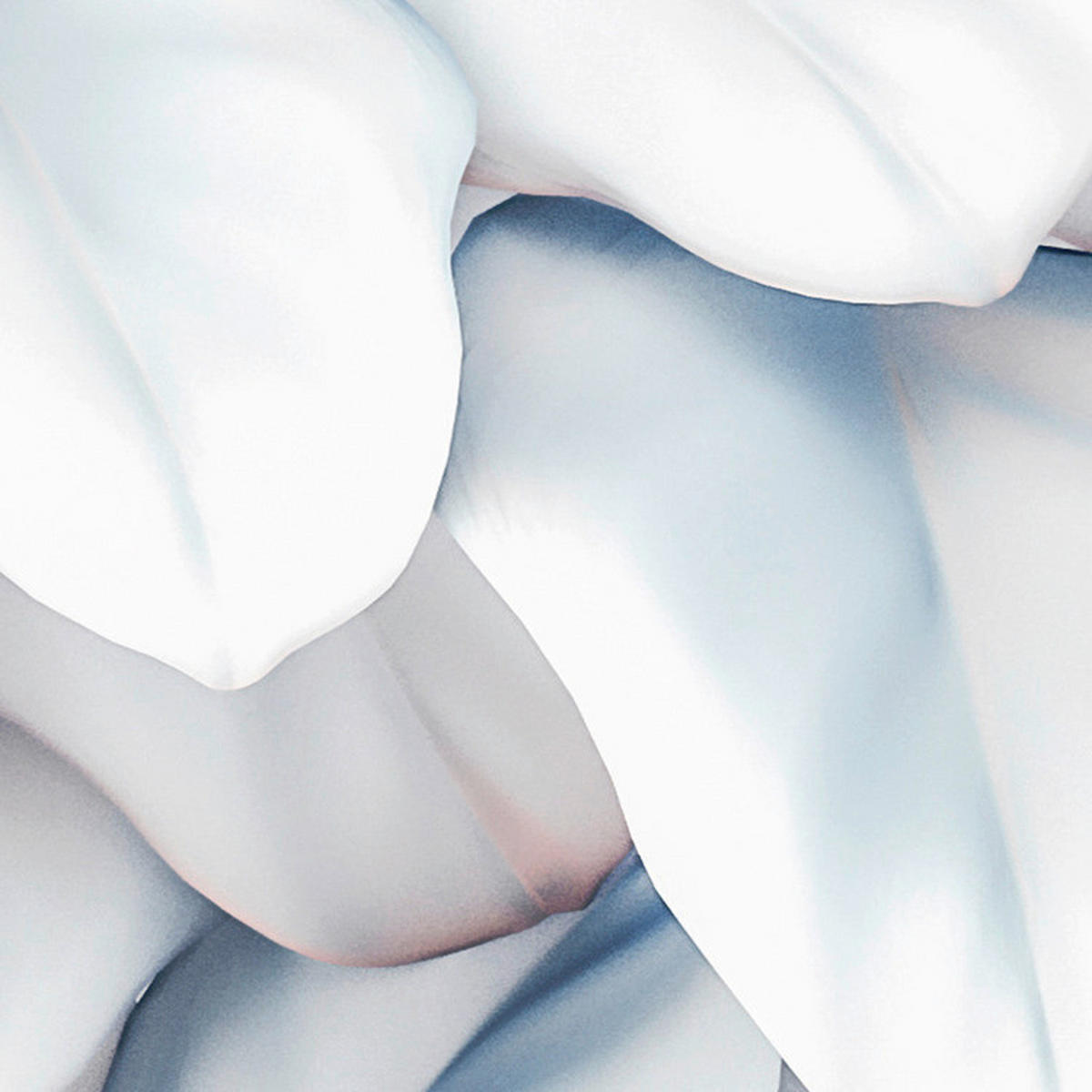 Komar Fototapete Vertical Garden B/L: ca. 400x250 cm Vertical Garden - (400,00/250,00cm) - Komar