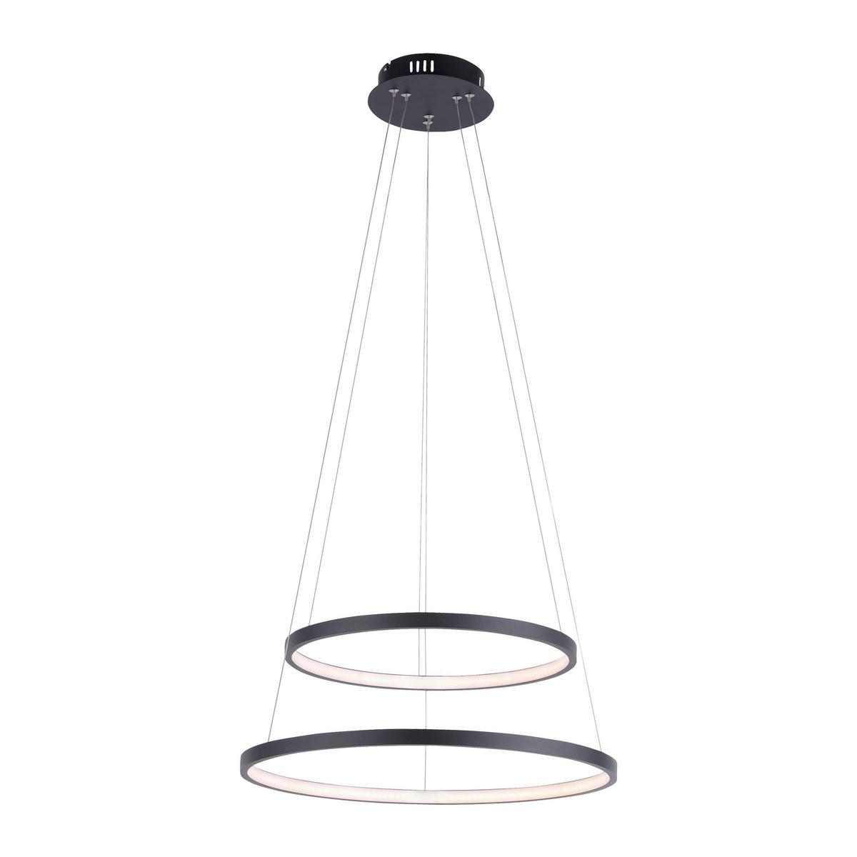 Just Light LED-Pendelleuchte CIRCLE 11525-13 weiß anthrazit Metall Kunststoff H/D: ca. 120x50 cm 2.0 Brennstellen CIRCLE - weiß/anthrazit (50,00/120,00cm) - Just Light