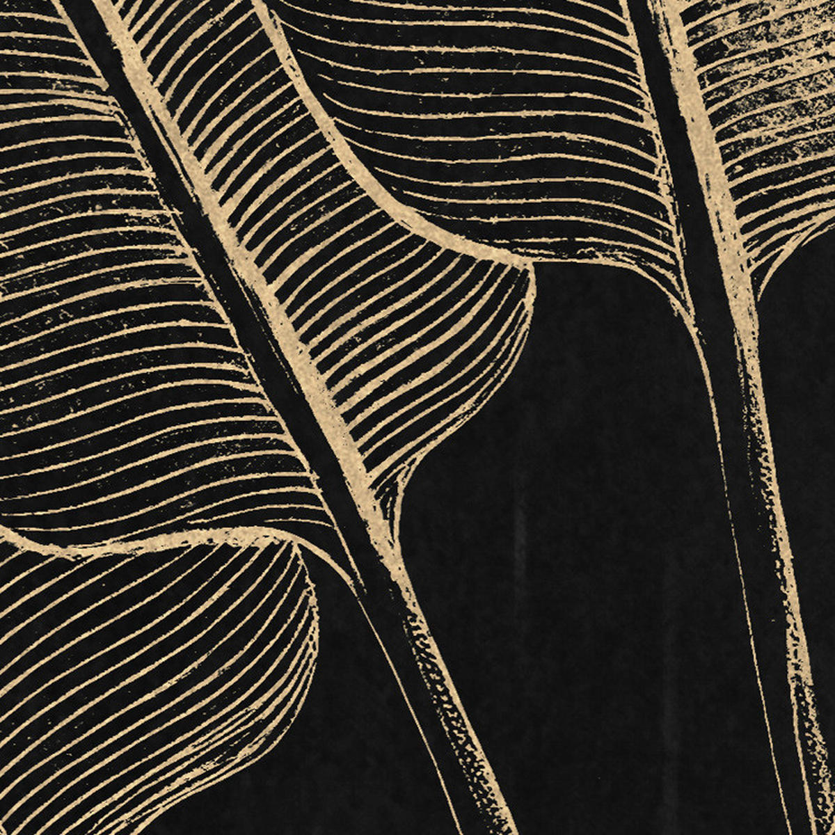 Komar Fototapete En Detail B/L: ca. 200x250 cm En Detail - (200,00/250,00cm) - Komar