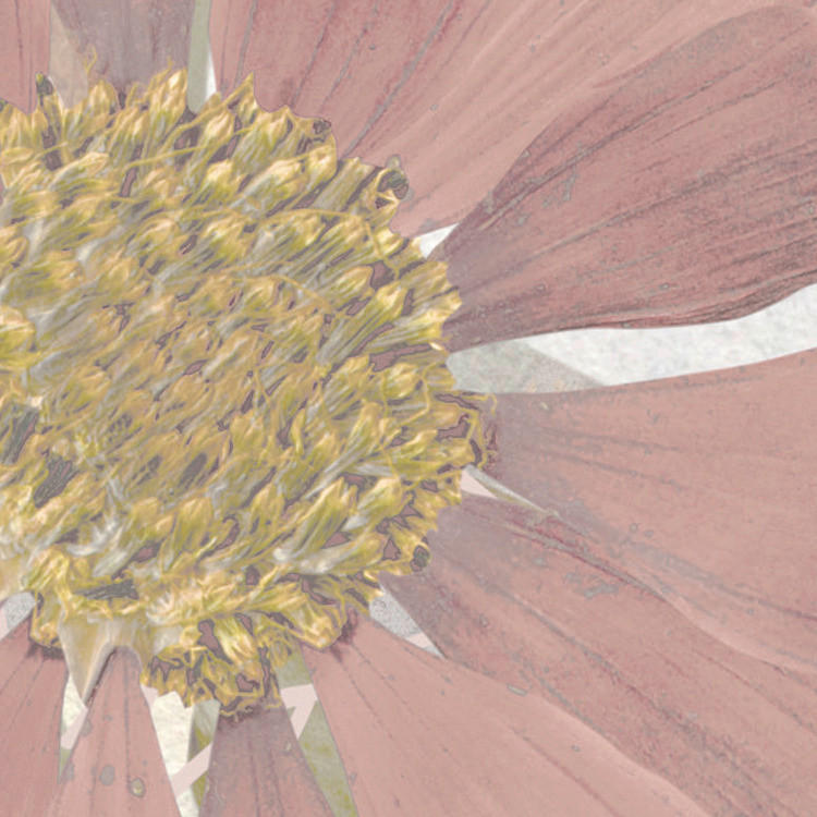 Komar Fototapete Endless Spring B/L: ca. 350x250 cm Endless Spring - (350,00/250,00cm) - Komar