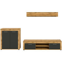 Wohnwand Jam Eiche Wotan Nachbildung grau B/H/T: ca. 255x159x35 cm Jam - Eiche/grau (255,00/159,00/35,00cm) - xonox.home