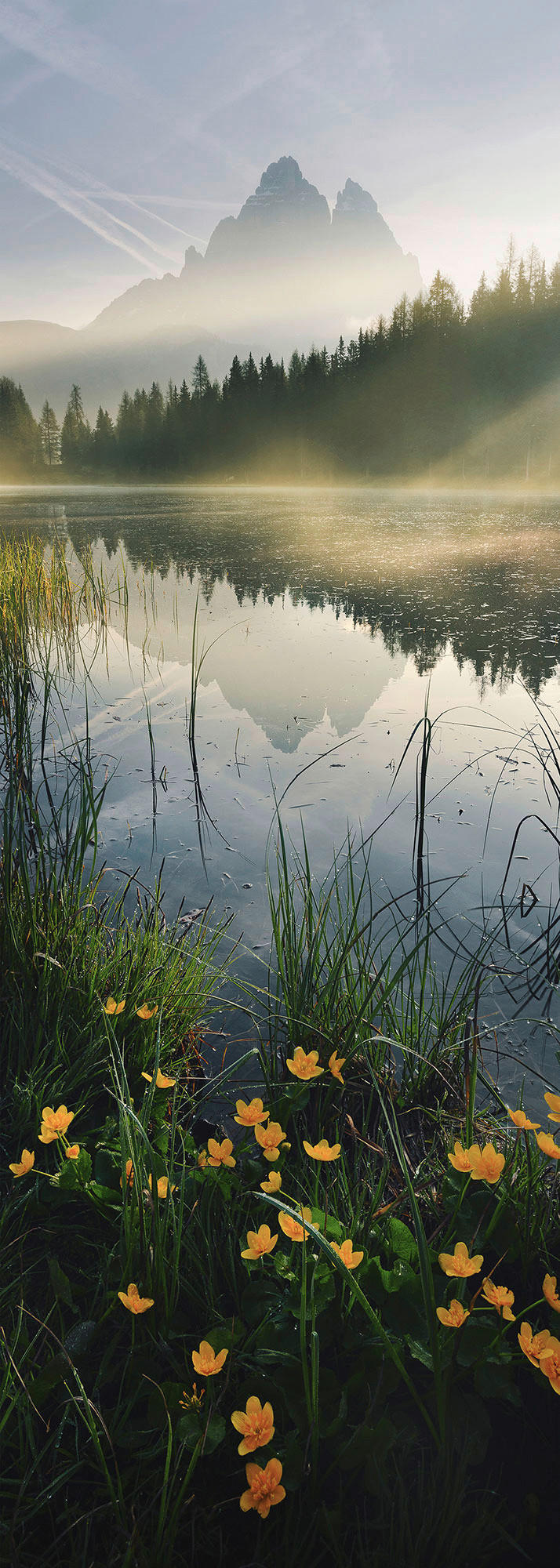 Komar Fototapete Morning Mist B/L: ca. 100x280 cm