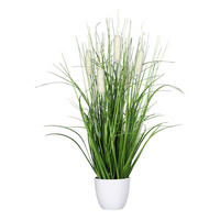 Deko-Pflanze grün Kunststoff B/H/L: ca. 15x67x15 cm Deko-Gras_mit_Fruchtstand - creme/grün (15,00/15,00/67,00cm)