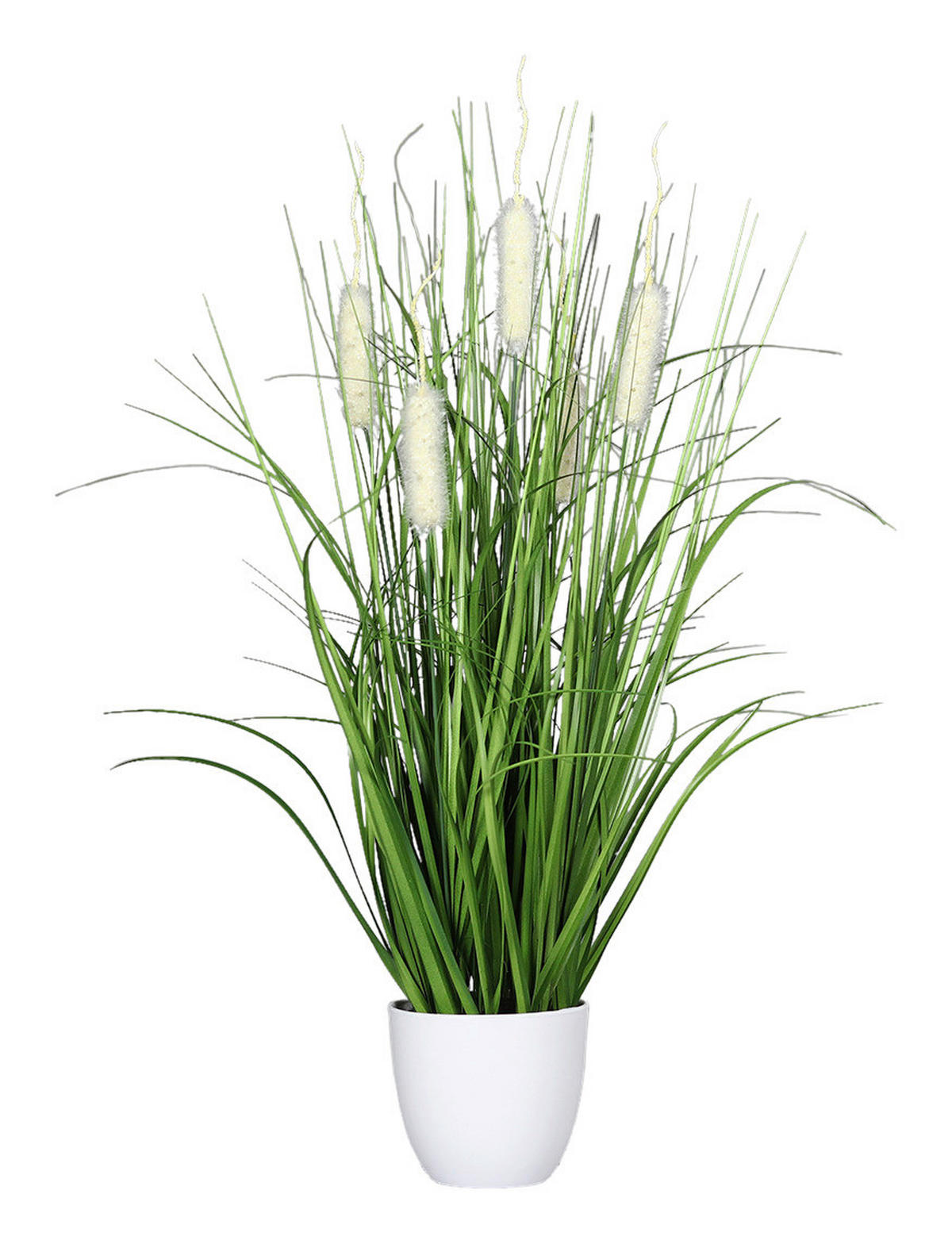 Deko-Pflanze grün Kunststoff B/H/L: ca. 15x67x15 cm Deko-Gras_mit_Fruchtstand - creme/grün (15,00/15,00/67,00cm)