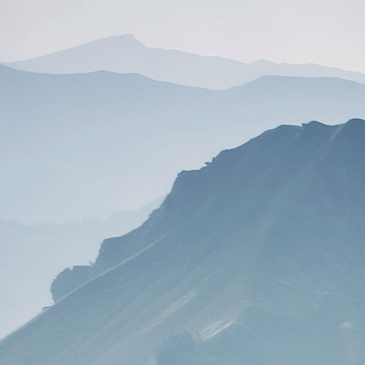 Komar Fototapete The Green Queen B/L: ca. 450x280 cm The Green Queen - (450,00/280,00cm) - Komar