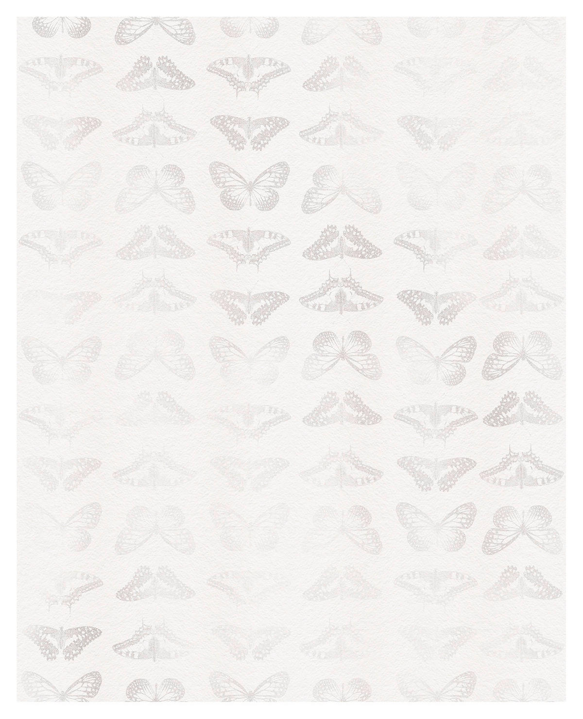 Komar Fototapete Mur de Papillons B/L: ca. 200x250 cm Mur de Papillons - (200,00/250,00cm) - Komar