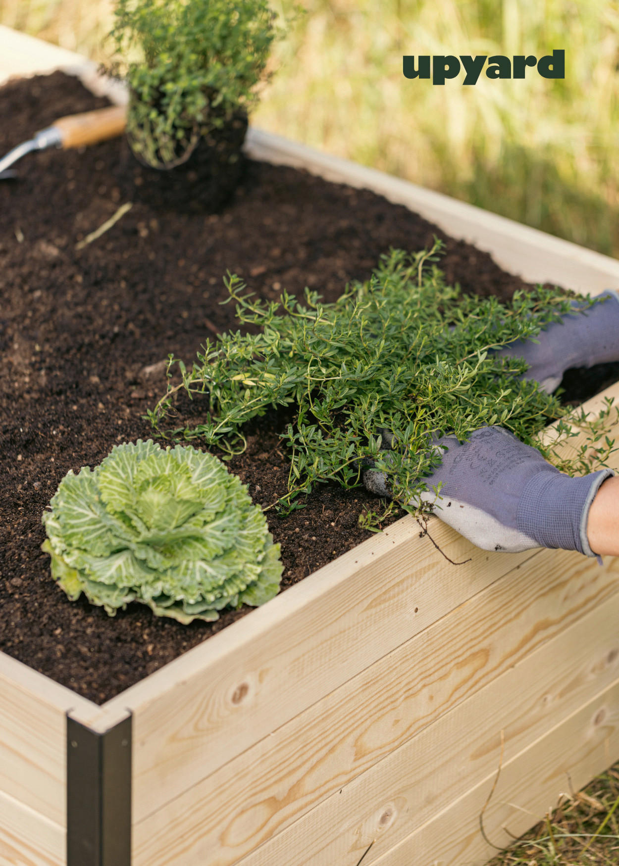 Thumbnail - UPYARD Hochbeet MODERN natur Holz B/H/L: ca. 80x40x120 cm