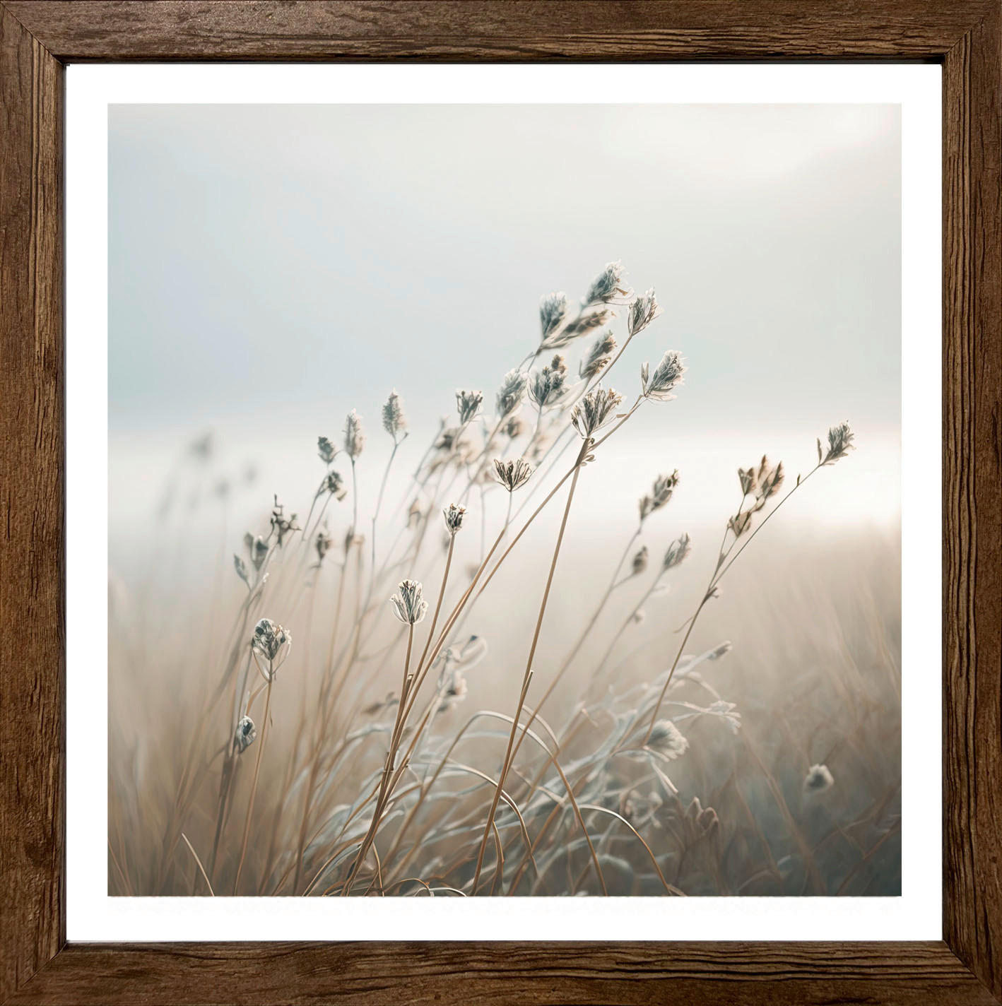 Bönninghoff Gerahmtes Bild Gräser Bild_Cheb 35x35cm - Bönninghoff