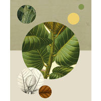 Komar Poster Green Structure Pflanzen B/L: ca. 40x50 cm Green Structure - (40,00/50,00cm) - Komar
