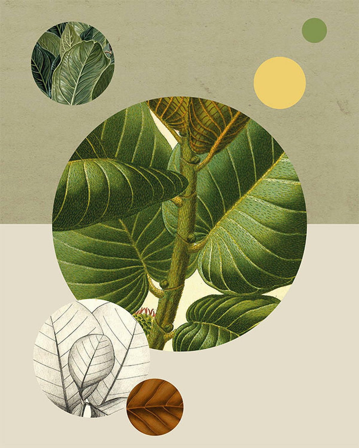 Komar Poster Green Structure Pflanzen B/L: ca. 40x50 cm Green Structure - (40,00/50,00cm) - Komar