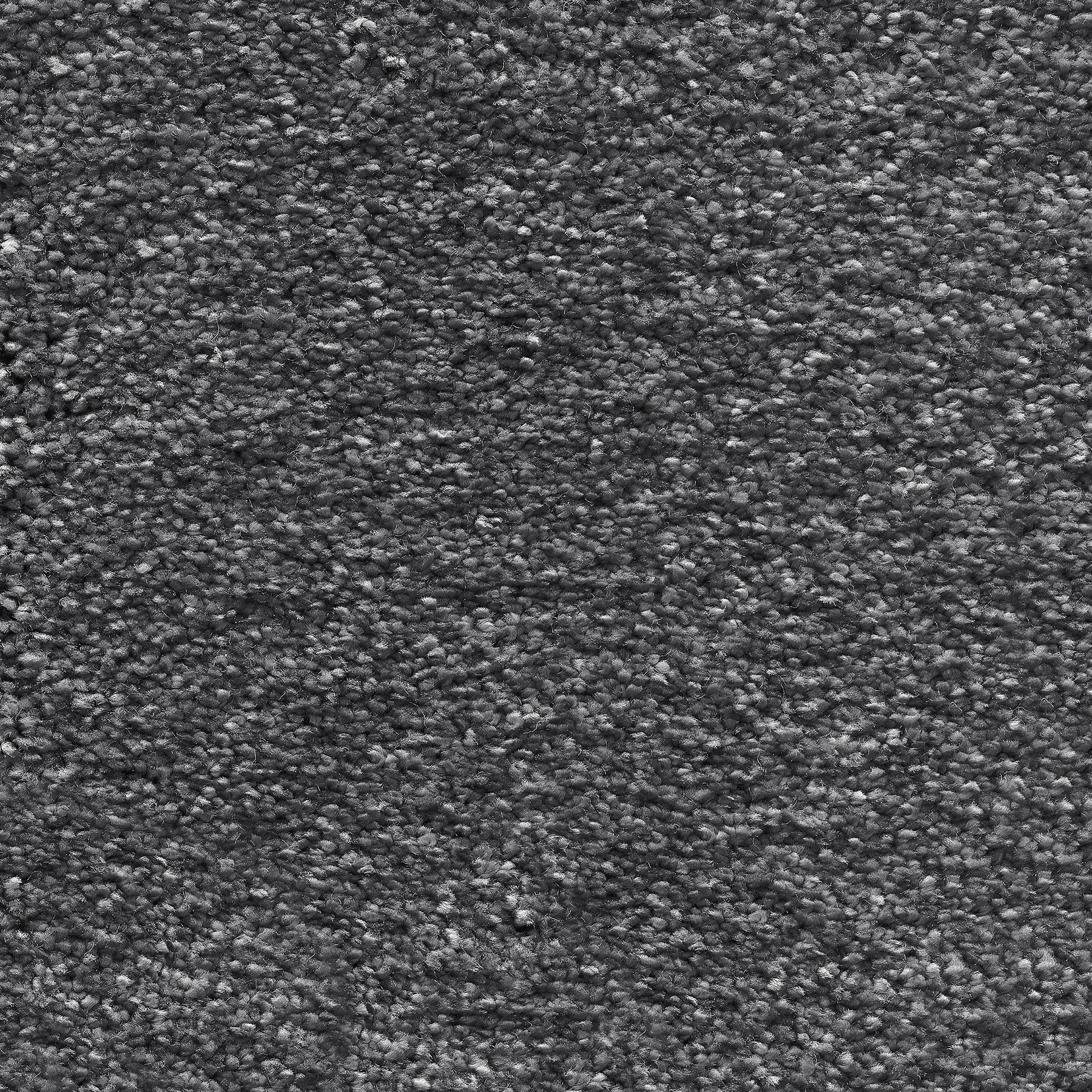 Teppichboden Euphoria anthrazit B: ca. 400 cm pro m² Euphoria - anthrazit (400,00cm)