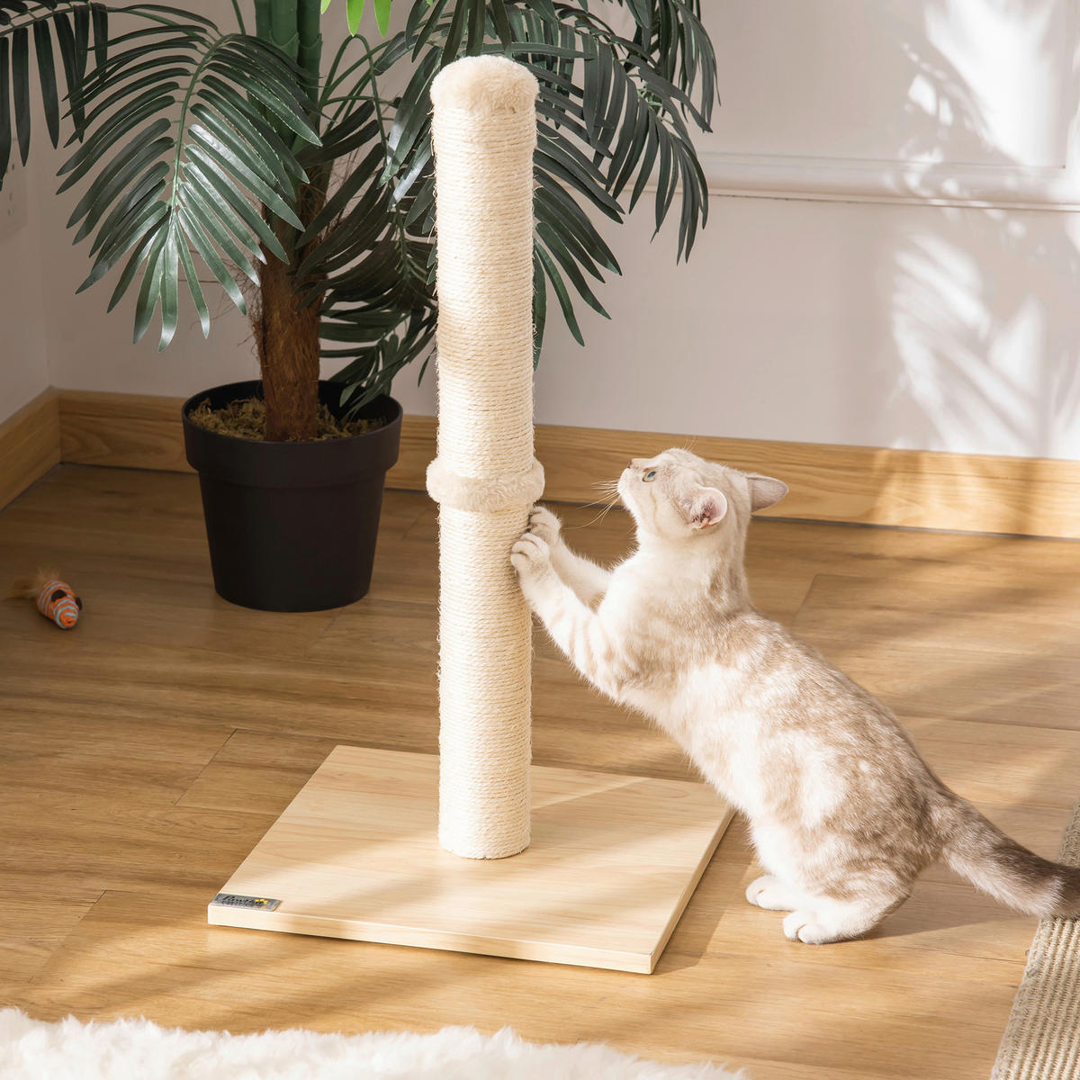 PawHut Kratzbaum Kratzbaum - (34,00/34,00/60,00cm) - PawHut