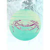 Komar Poster Crab Sea Tiere B/L: ca. 50x70 cm Crab Sea - (50,00/70,00cm) - Komar
