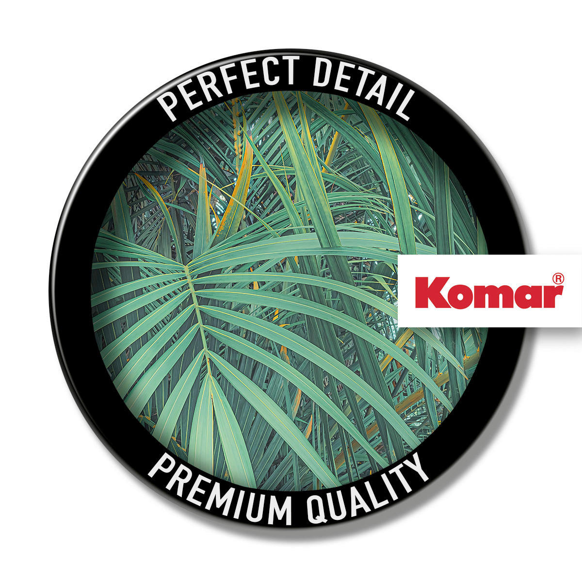 Komar Fototapete Foggy Fern B/L: ca. 400x250 cm Foggy Fern - (400,00/250,00cm) - Komar