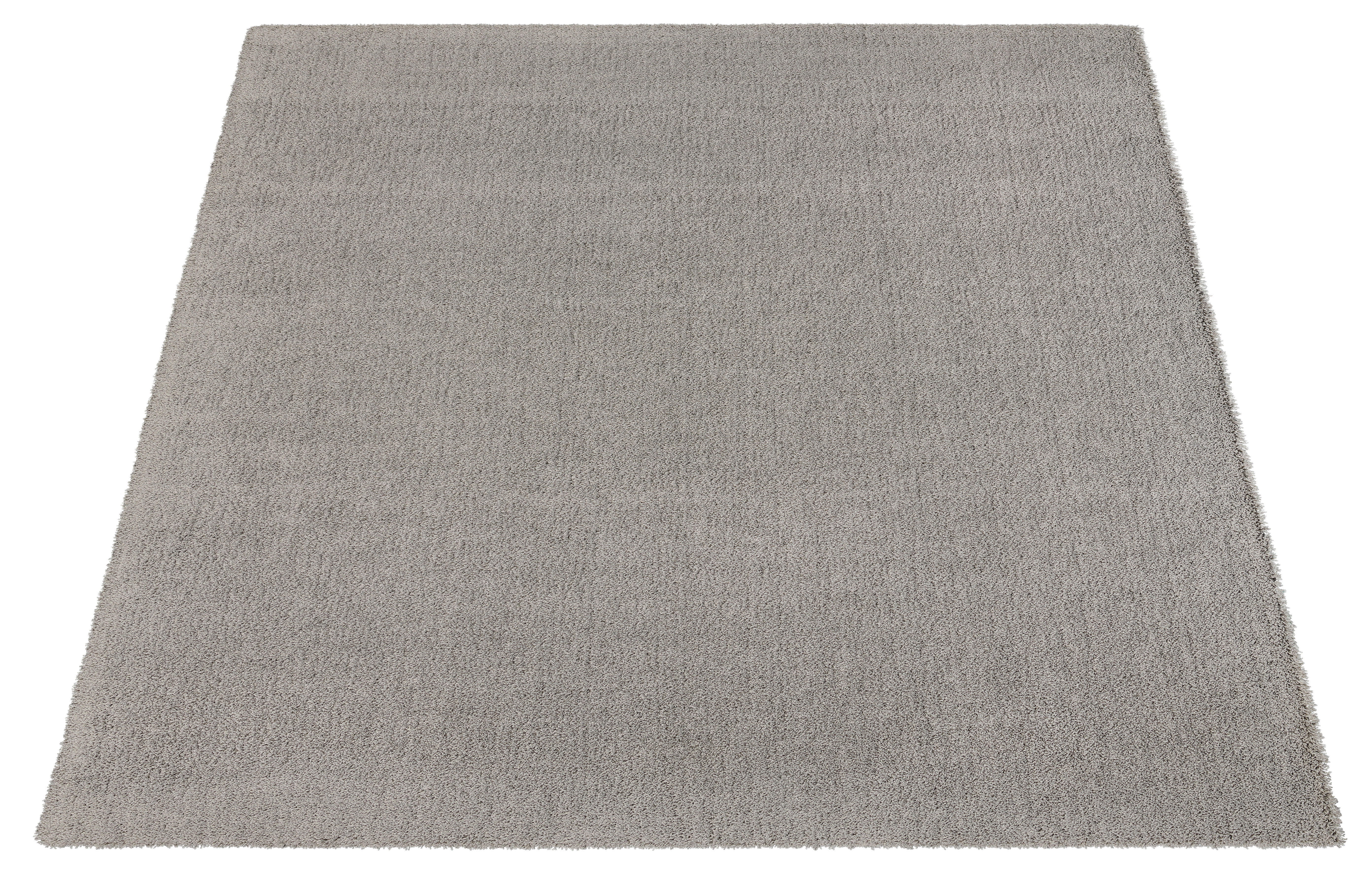 Webteppich Torino hellgrau B/L: ca. 120x170 cm Torino - hellgrau (120,00/170,00cm)
