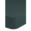 Jersey Spannbetttuch Spannbetttuch-Jersey 200x220cm - dunkelgrün (200,00/220,00cm) - Good Morning