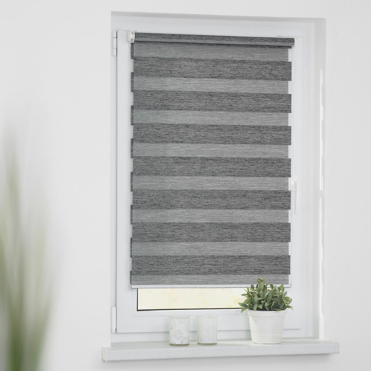 Doppelrollo Duo Go Green dunkelgrau B/L: ca. 80x150 cm Duo Go Green - dunkelgrau (80,00/150,00cm) - LICHTBLICK