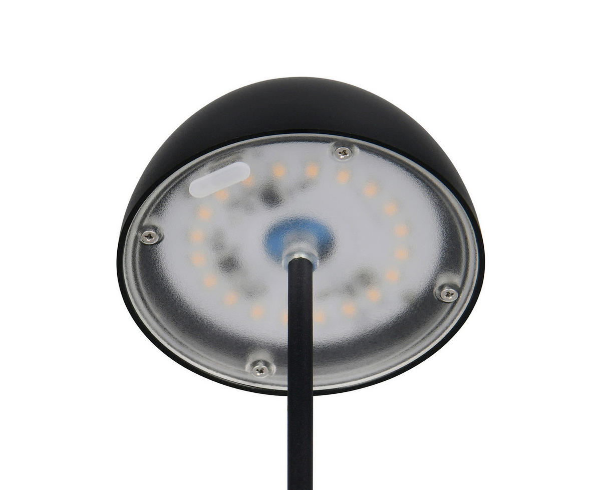 Reality LED Tischleuchte ORTIZ mattschwarz Kunststoff H: ca. 2 cm 1 Brennstellen Ortiz - mattschwarz (2,00cm) - Reality