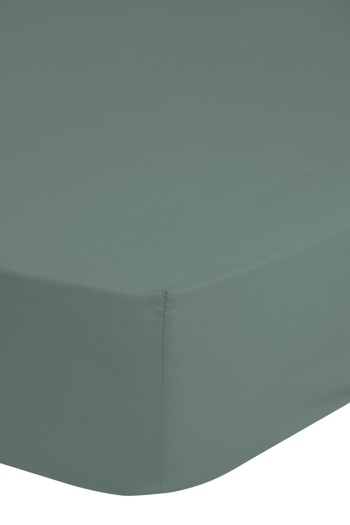 Jersey Spannbetttuch Spannbetttuch-Jersey 90/100x200cm - grün (100,00/200,00cm) - Good Morning