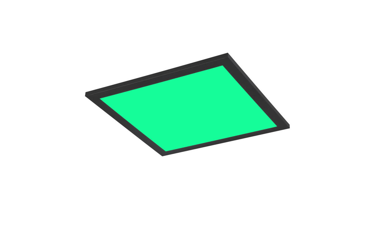 Reality LED-Deckenleuchte Beta R67663032 schwarz Metall B/H/T: ca. 29,5x50x29,5 cm 1 Brennstellen Beta - schwarz (29,50/50,00/29,50cm) - Reality
