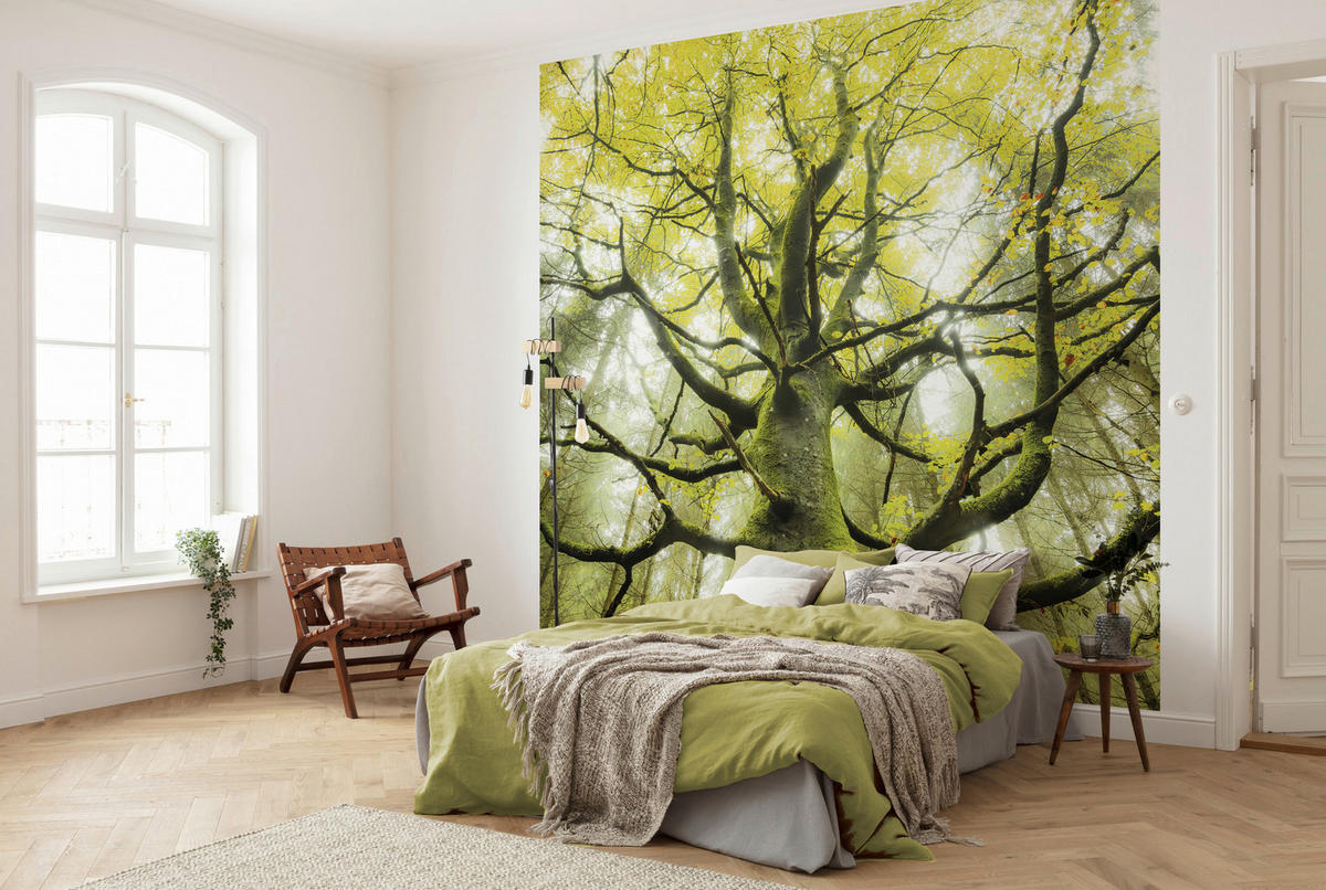 Komar Fototapete Der Traumbaum B/L: ca. 300x280 cm Der Traumbaum - (300,00/280,00cm) - Komar