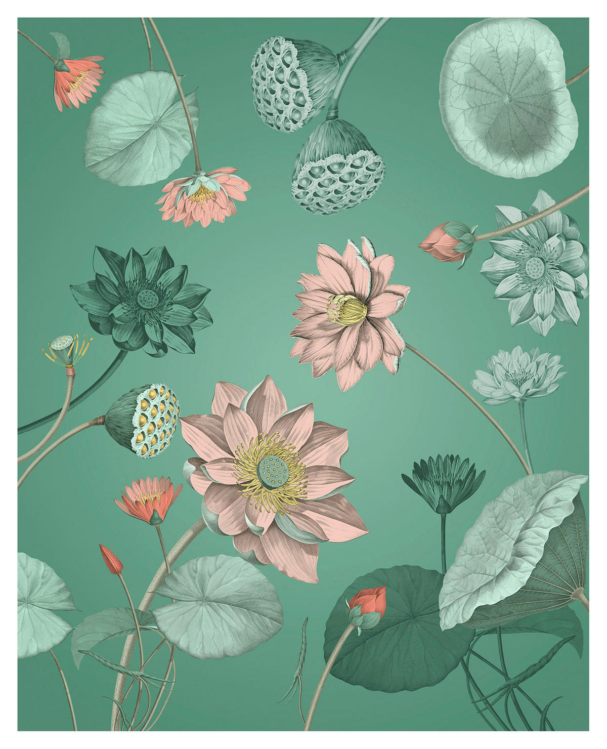 Komar Fototapete Blissful Blumen B/L: ca. 200x250 cm Blissful - (200,00/250,00cm) - Komar