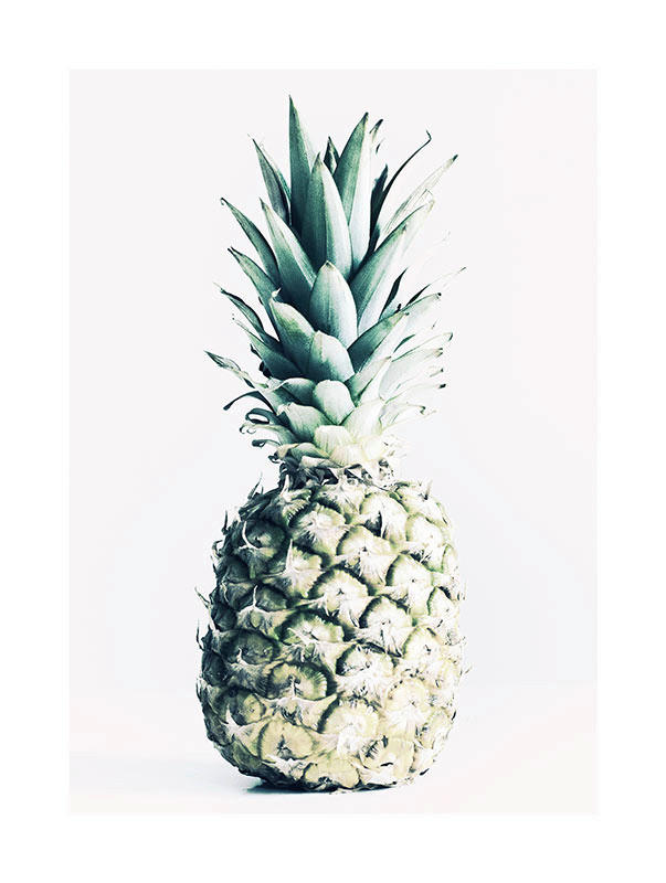 Komar Poster Pineapple Pflanzen B/L: ca. 30x40 cm