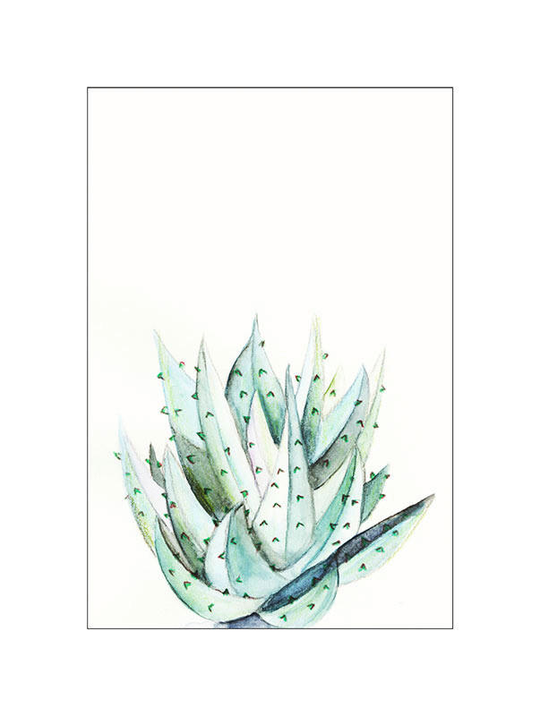 Komar Poster Aloe Watercolor Pflanzen B/L: ca. 30x40 cm