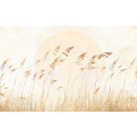 Komar Fototapete Dune Grass B/L: ca. 400x250 cm Dune Grass - (400,00/250,00cm) - Komar