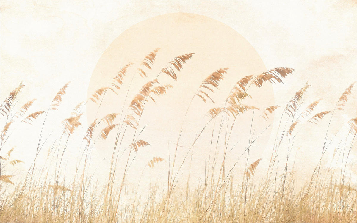 Komar Fototapete Dune Grass B/L: ca. 400x250 cm Dune Grass - (400,00/250,00cm) - Komar