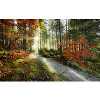 Komar Fototapete Feuerzungen B/L: ca. 450x280 cm Feuerzungen - (450,00/280,00cm) - Komar