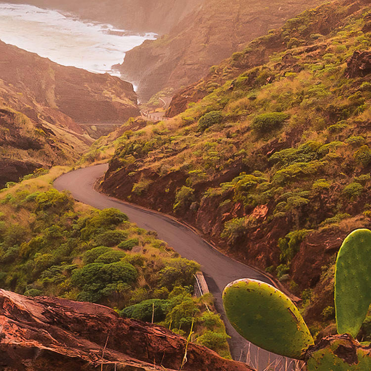 Komar Fototapete Warmes Licht B/L: ca. 200x280 cm Warmes Licht - (200,00/280,00cm) - Komar