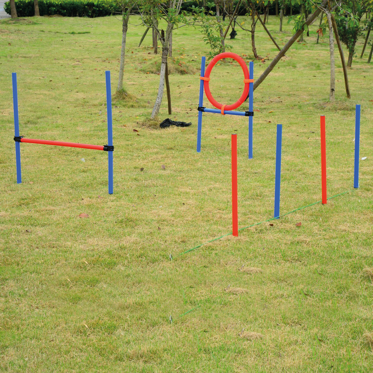 PawHut Hundesport Hundesport - blau/rot - PawHut