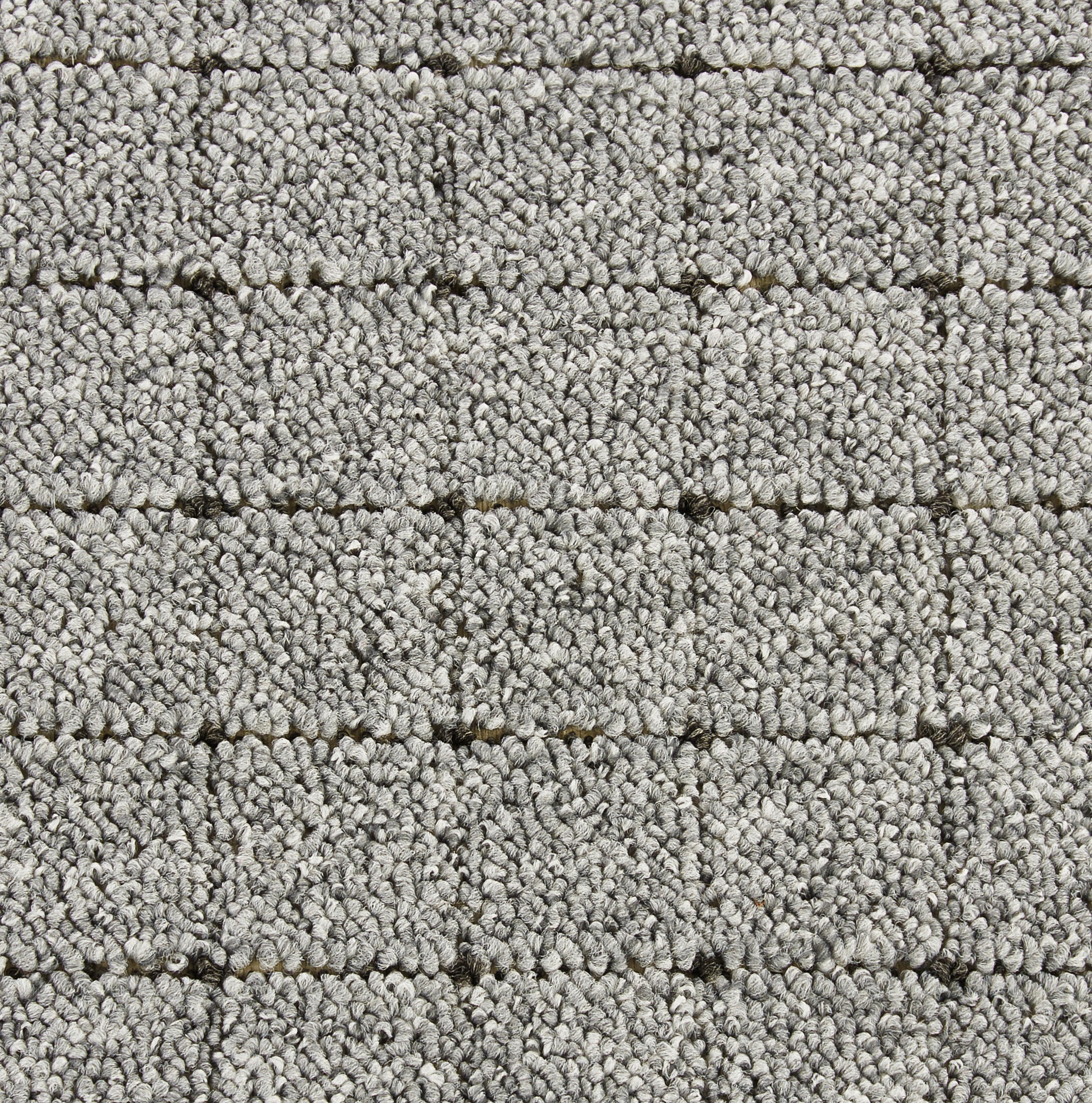 Teppichboden Zembla grau B: ca. 300 cm pro m² Zembla - grau (300,00cm)