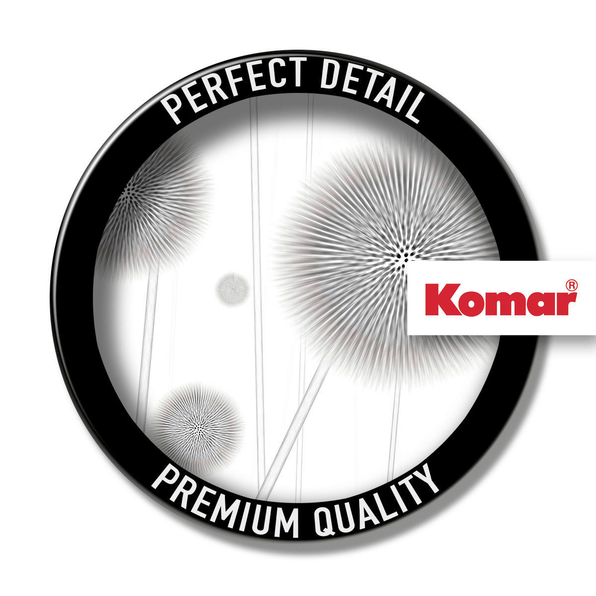 Komar Fototapete Allium B/L: ca. 150x250 cm Allium - (150,00/250,00cm) - Komar