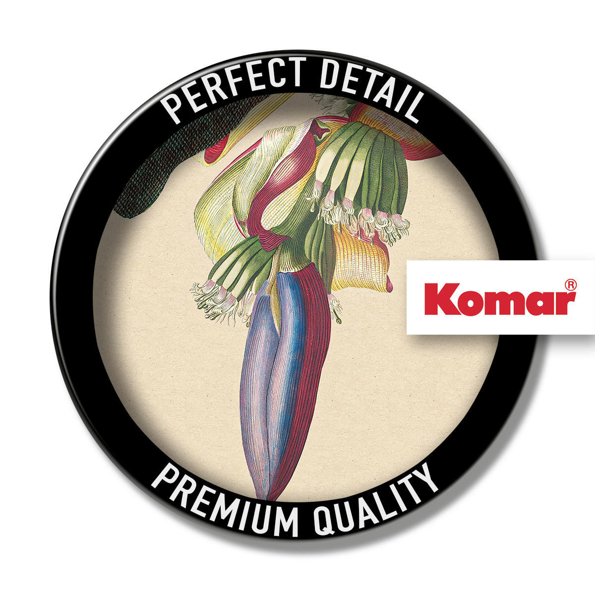 Komar Poster Banana Heart Pflanzen B/L: ca. 30x40 cm Banana Heart - (30,00/40,00cm) - Komar
