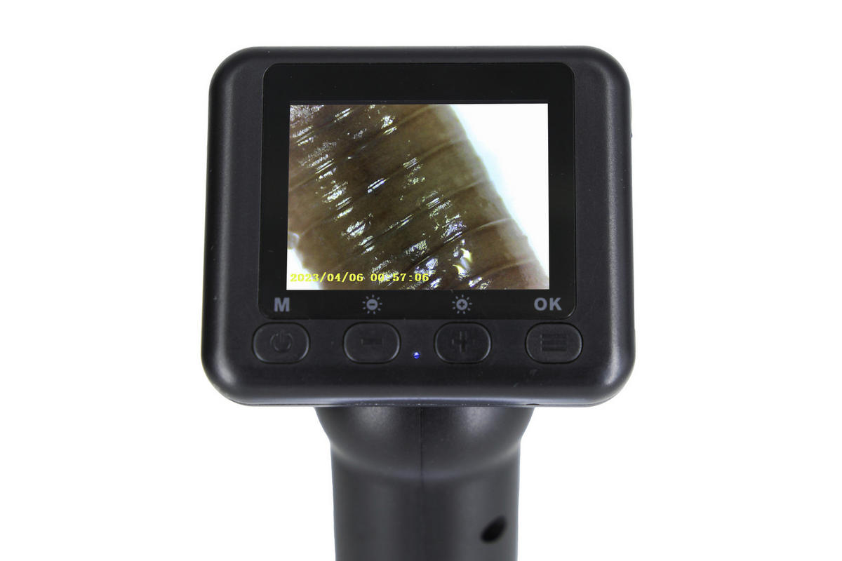 Denver Digitales Mikroskop schwarz MSC-255 - schwarz (6,70/13,30cm) - Denver