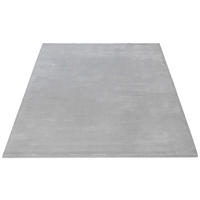 Dinarsu Teppich Maximo grau B/L: ca. 120x170 cm Maximo - grau (120,00/170,00cm) - Dinarsu