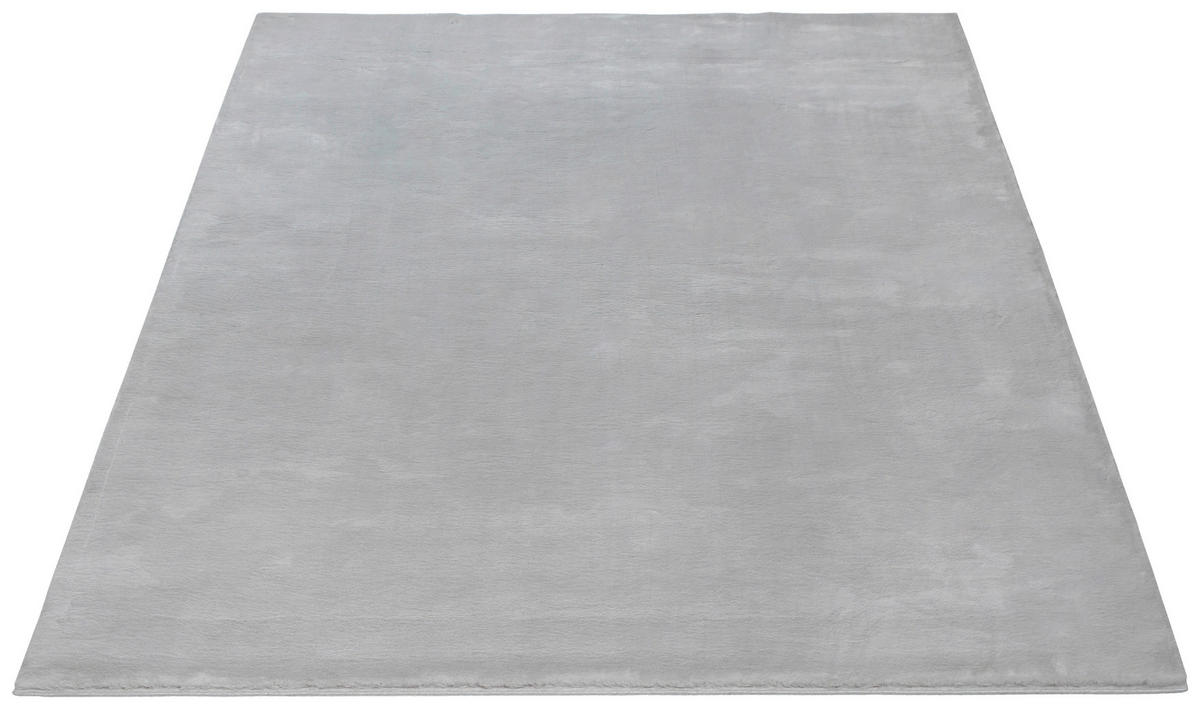 Dinarsu Teppich Maximo grau B/L: ca. 120x170 cm Maximo - grau (120,00/170,00cm) - Dinarsu