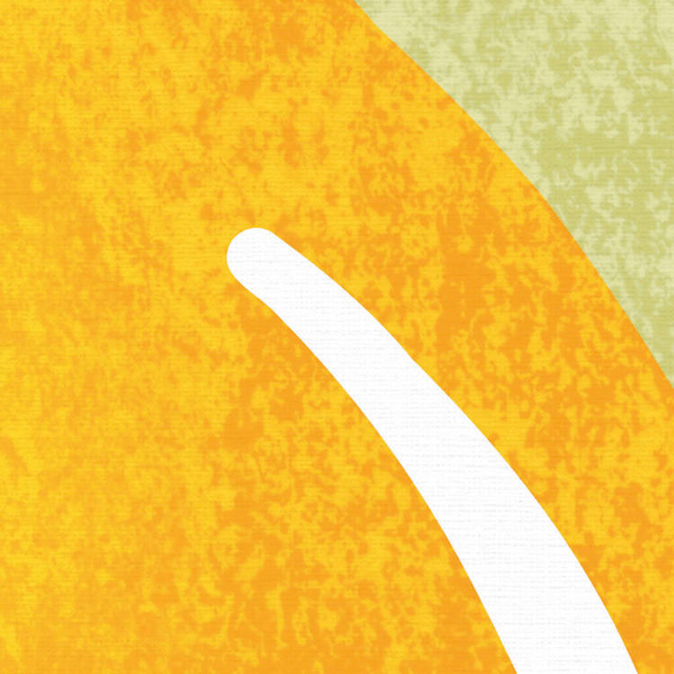 Komar Fototapete Lemon Fresh B/L: ca. 200x250 cm Lemon Fresh - (200,00/250,00cm) - Komar