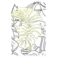 Komar Poster Monstera Borsigiana Pflanzen B/L: ca. 50x70 cm Monstera Borsigiana - (50,00/70,00cm) - Komar