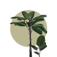 Komar Poster Botanical Garden Palmtree Palmen B/L: ca. 30x40 cm Botanical Garden Palmtree - (30,00/40,00cm) - Komar