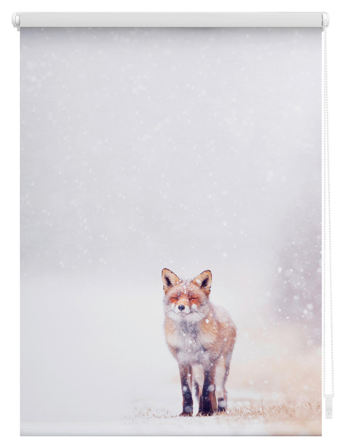 Rollo Fuchs im Schnee weiß B/L: ca. 80x150 cm Fuchs im Schnee - weiß/rot (80,00/150,00cm) - LICHTBLICK