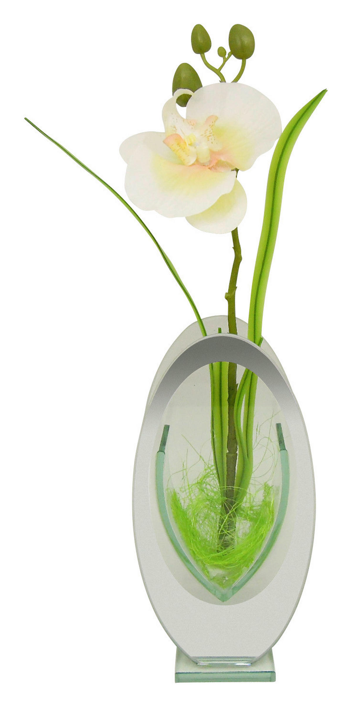 POCOline Vase klar Glas B/H/L: ca. 6x28,5x14 cm Spiegelvase - klar (14,00/6,00/28,50cm) - POCOline