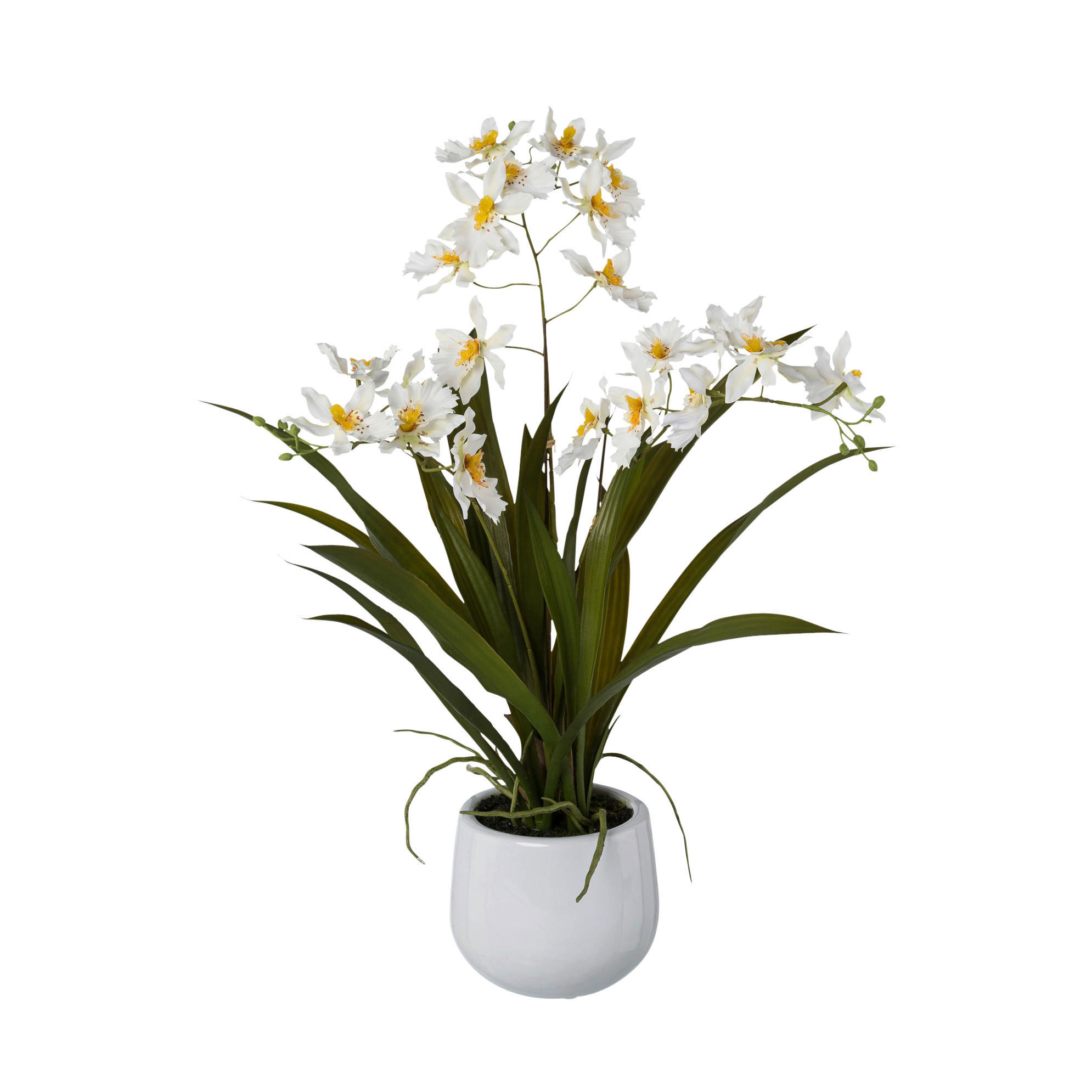 Kunstpflanze Cambria-Orchidee weiß Kunststoff B/H/L: ca. 17x55x17 cm Cambria-Orchidee - weiß (17,00/17,00/55,00cm)